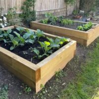 Pressure Treated Sleepers - Image 4