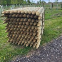 Field Posts - Image 2