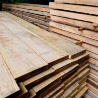 European Green Oak Planks - Image 3