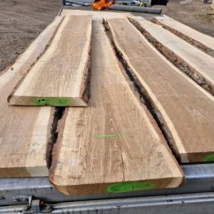 European Green Oak With Waney Edge