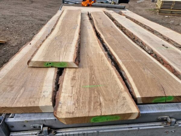 European Green Oak With Waney Edge